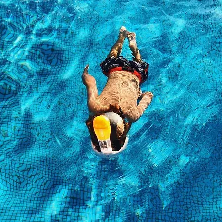 Bosky Gródek Nad Dunajcem