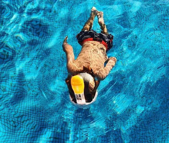 Bosky Gródek Nad Dunajcem